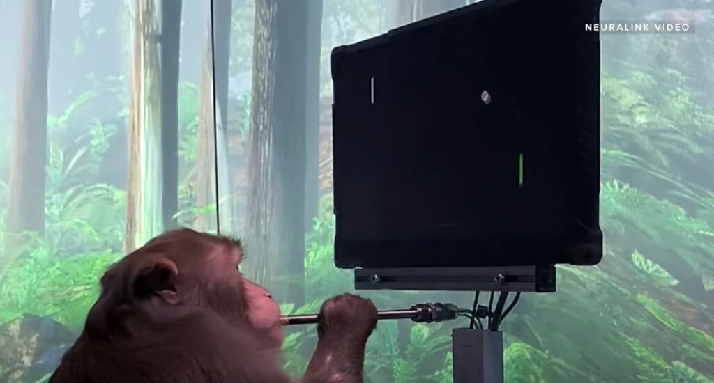 Neuralink monkey controls video game pong with brainchip